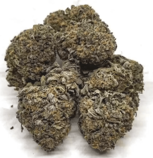 Blue Cheese Cannabis Strain