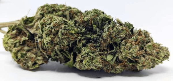 Marmalade Marijuana Strain