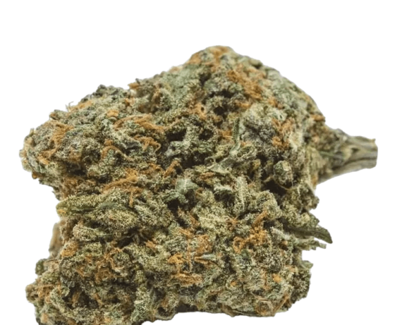 Cheese Cannabis Strain UK