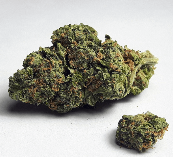 Hawaiian Snow Cannabis Strain