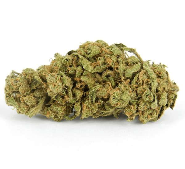 Hog Marijuana Strain