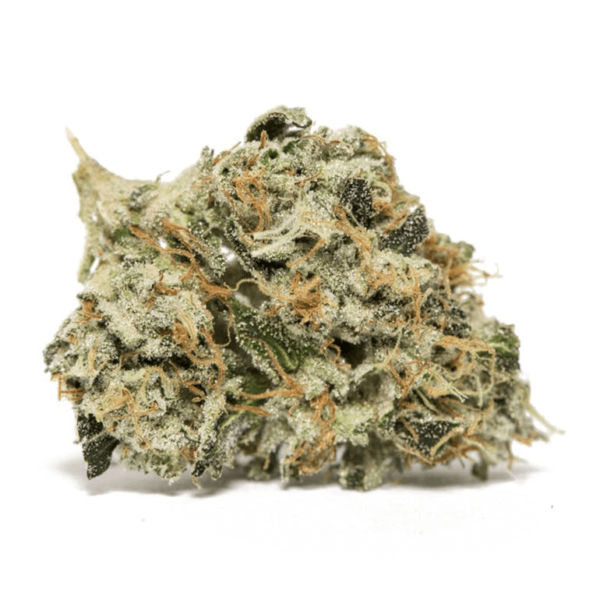 Kosher Kush Cannabis Strain