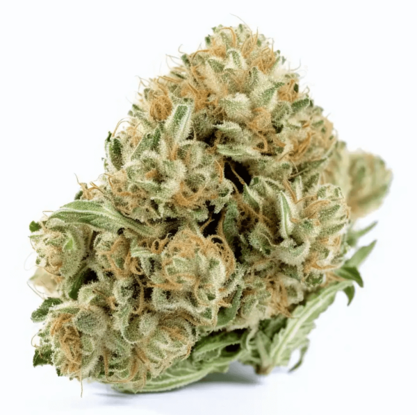 Super Jack Marijuana Strain